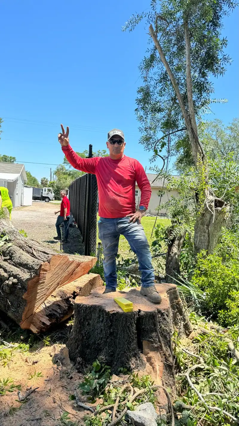 FTDF Services team member on a large oak stump after a tree removal