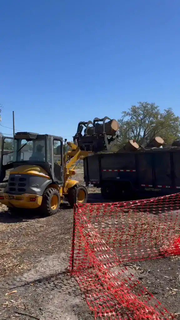 Loader filling a dump trailer with logs during site preparation