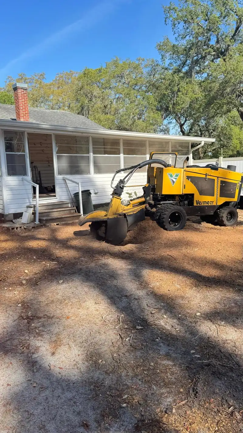 Stump grinder at work in a residential yard