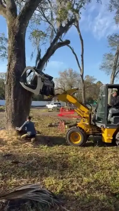 Grapple-assisted tree takedown – FTDF Services video